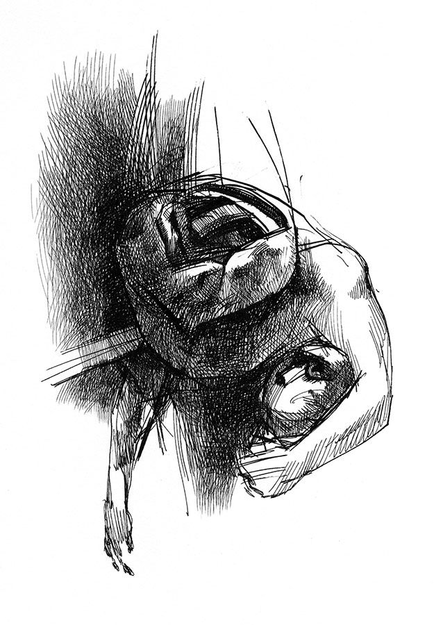 Illusion ("Absentpaedia" series), 2007, Ink on paper, 28 x 19 cm