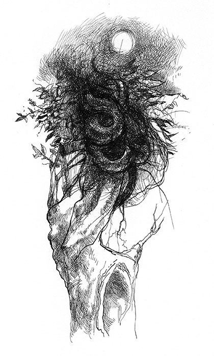 Nest ("Absentpaedia" series), 2007, Ink on paper, 28 x 19 cm